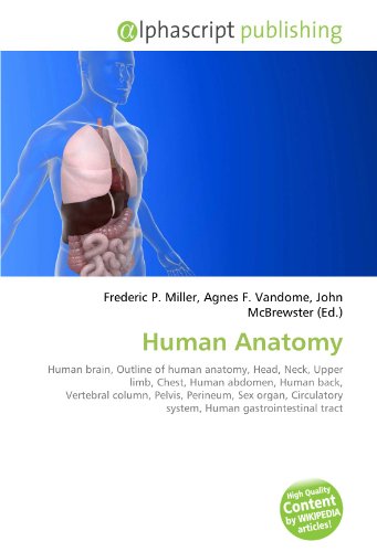 9786130202385: Human Anatomy: Human brain, Outline of human anatomy, Head, Neck, Upper limb, Chest, Human abdomen, Human back, Vertebral column, Pelvis, Perineum, ... system, Human gastrointestinal tract