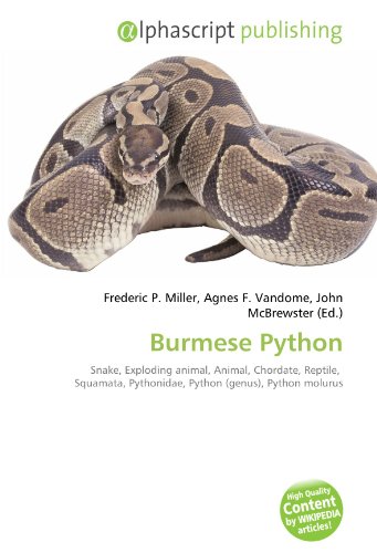 9786130610616: Burmese Python: Snake, Exploding animal, Animal, Chordate, Reptile, Squamata, Pythonidae, Python (genus), Python molurus