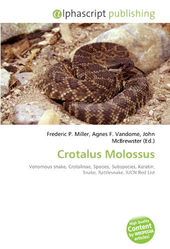 9786130839895: Crotalus Molossus