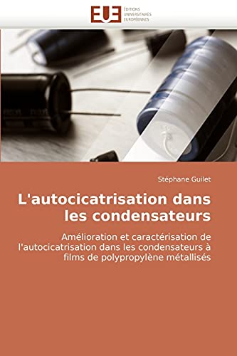 Stock image for L'Autocicatrisation Dans Les Condensateurs for sale by Chiron Media