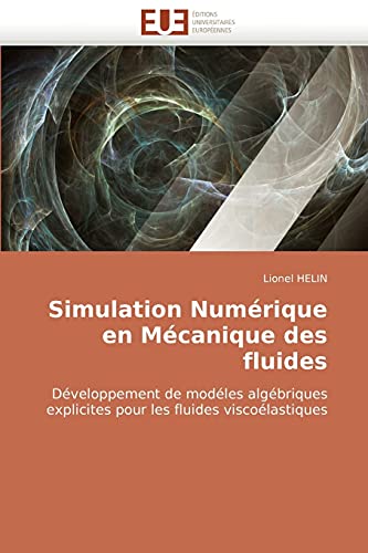 Stock image for Simulation Numerique En Mecanique Des Fluides for sale by Chiron Media