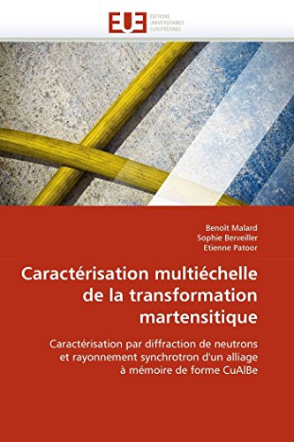 Beispielbild fr Caractrisation multichelle de la transformation martensitique: Caractrisation par diffraction de neutrons et rayonnement synchrotron d'un alliage  . CuAlBe (Omn.Univ.Europ.) (French Edition) zum Verkauf von Lucky's Textbooks