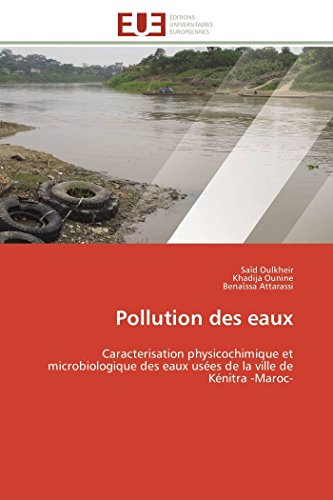 9786131517495: Pollution des eaux: Caracterisation physicochimique et microbiologique des eaux uses de la ville de Knitra -Maroc- (Omn.Univ.Europ.)