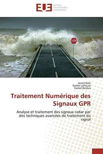 9786131543579: Traitement Numrique des Signaux GPR: Analyse et traitement des signaux radar par des techniques avances de traitement du signal