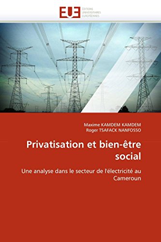 Stock image for Privatisation et bien-tre social: Une analyse dans le secteur de l'lectricit au Cameroun (Omn.Univ.Europ.) (French Edition) for sale by Lucky's Textbooks