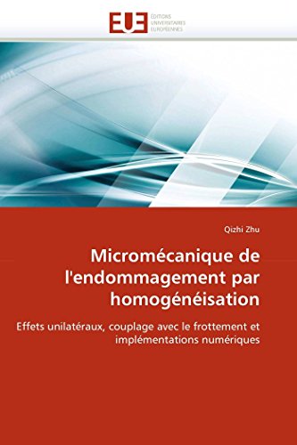 Stock image for Micromecanique de l''endommagement par homogeneisation for sale by Chiron Media
