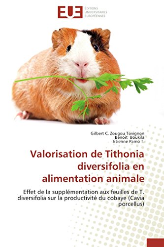9786131571176: Valorisation de Tithonia diversifolia en alimentation animale: Effet de la supplmentation aux feuilles de T. diversifolia sur la productivit du cobaye (Cavia por