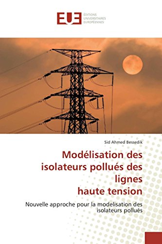 9786131590726: Modlisation des isolateurs pollus des lignes haute tension: Nouvelle approche pour la modelisation des isolateurs pollus (Omn.Univ.Europ.) (French Edition)