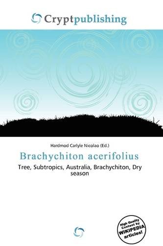 9786135755725: Brachychiton Acerifolius