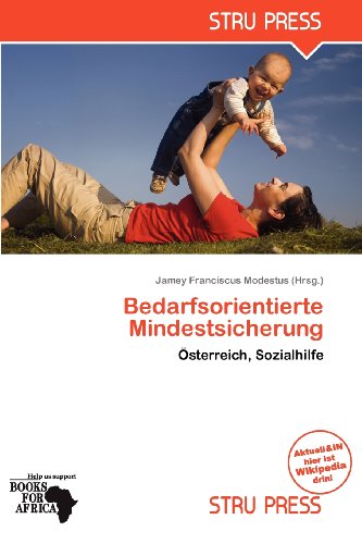 Bedarfsorientierte Mindestsicherung (Paperback)