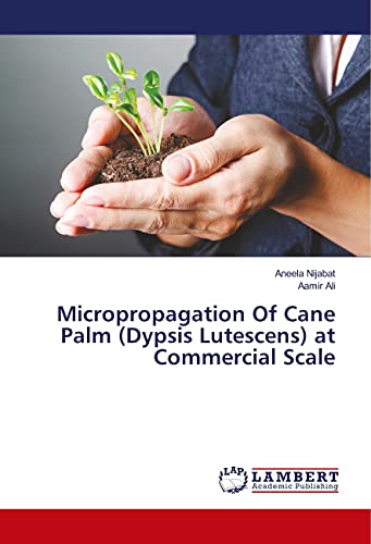 Stock image for Micropropagation Of Cane Palm (Dypsis Lutescens) at Commercial Scale for sale by Buchpark