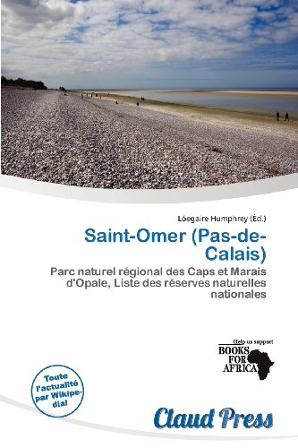 9786138437451: Saint-Omer (Pas-de-Calais)