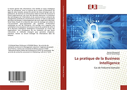 Stock image for La pratique de la Business Intelligence : Cas de l'industrie bancaire for sale by Buchpark