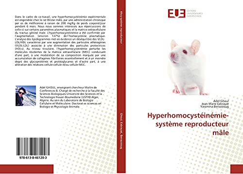 Beispielbild fr Hyperhomocystinmie-systme reproducteur mle zum Verkauf von Buchpark