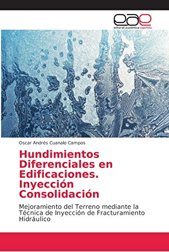 Imagen de archivo de Hundimientos Diferenciales en Edificaciones. Inyeccin Consolidacin (Spanish Edition) a la venta por Lucky's Textbooks