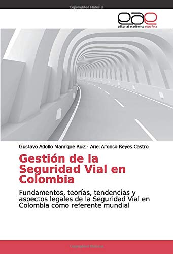 9786139085491: Gestin de la Seguridad Vial en Colombia: Fundamentos, teoras, tendencias y aspectos legales de la Seguridad Vial en Colombia como referente mundial