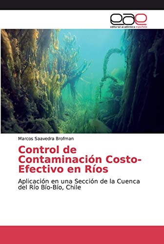 Beispielbild fr Control de Contaminacion Costo-Efectivo en Rios zum Verkauf von Chiron Media