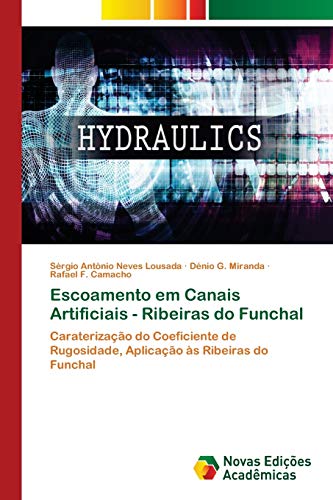 Beispielbild fr Escoamento em Canais Artificiais - Ribeiras do Funchal (Portuguese Edition) zum Verkauf von Lucky's Textbooks