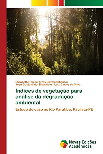 Stock image for ndices de vegetao para anlise da degradao ambiental (Portuguese Edition) for sale by Lucky's Textbooks