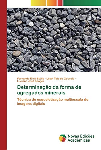 Stock image for Determinao da forma de agregados minerais: Tcnica de esqueletizao multiescala de imagens digitais (Portuguese Edition) for sale by Lucky's Textbooks