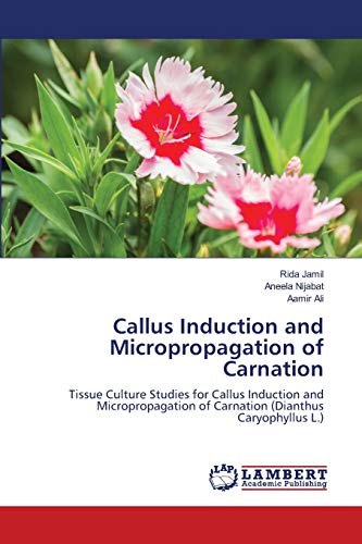 Stock image for Callus Induction and Micropropagation of Carnation: Tissue Culture Studies for Callus Induction and Micropropagation of Carnation (Dianthus Caryophyllus L.) for sale by Lucky's Textbooks