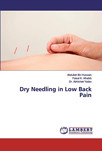 Stock image for Dry Needling in Low Back Pain for sale by Lucky's Textbooks