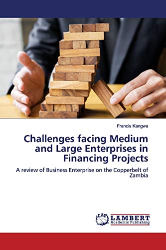 Stock image for Challenges facing Medium and Large Enterprises in Financing Projects for sale by Chiron Media
