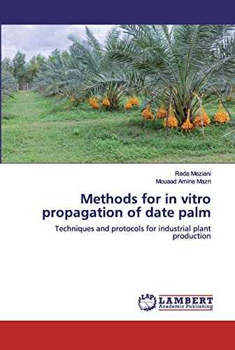 Stock image for Methods for in vitro propagation of date palm: Techniques and protocols for industrial plant production for sale by Lucky's Textbooks