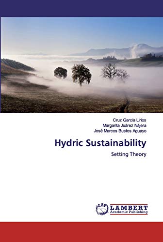 Imagen de archivo de Hydric Sustainability: Setting Theory a la venta por Lucky's Textbooks