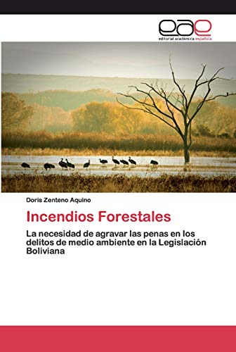 9786200400307: Incendios Forestales: La necesidad de agravar las penas en los delitos de medio ambiente en la Legislacin Boliviana