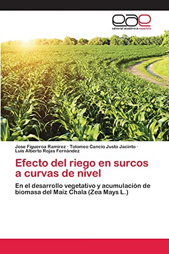 Beispielbild fr Efecto del riego en surcos a curvas de nivel: En el desarrollo vegetativo y acumulacin de biomasa del Maz Chala (Zea Mays L.) (Spanish Edition) zum Verkauf von Lucky's Textbooks