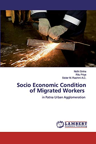 Imagen de archivo de Socio Economic Condition of Migrated Workers: in Patna Urban Agglomeration a la venta por Lucky's Textbooks