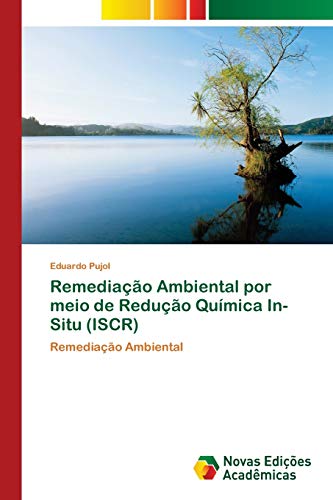 Stock image for Remediacao Ambiental por meio de Reducao Quimica In-Situ (ISCR) for sale by Chiron Media