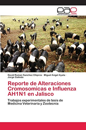 Stock image for Reporte de Alteraciones Cromosomicas e Influenza AH1N1 en Jalisco: Trabajos experimentales de tesis de Medicina Veterinaria y Zootecnia (Spanish Edition) for sale by Lucky's Textbooks