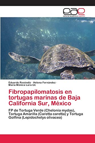Beispielbild fr Fibropapilomatosis en tortugas marinas de Baja California Sur, Mxico (Spanish Edition) zum Verkauf von Lucky's Textbooks