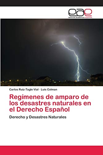 Stock image for Regmenes de amparo de los desastres naturales en el Derecho Espaol (Spanish Edition) for sale by Lucky's Textbooks