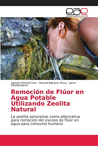 Beispielbild fr Remocion de Fluor en Agua Potable Utilizando Zeolita Natural zum Verkauf von Chiron Media