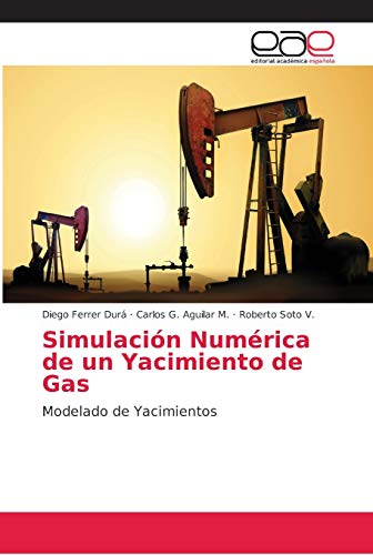 Imagen de archivo de Simulacin Numrica de un Yacimiento de Gas (Spanish Edition) a la venta por Lucky's Textbooks