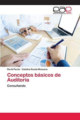 Imagen de archivo de Conceptos bsicos de Auditora: Consultando (Spanish Edition) a la venta por Lucky's Textbooks