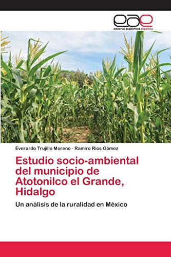 Stock image for Estudio socio-ambiental del municipio de Atotonilco el Grande, Hidalgo: Un anlisis de la ruralidad en Mxico (Spanish Edition) for sale by Lucky's Textbooks