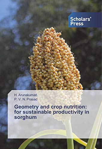 Stock image for Geometry and crop nutrition: for sustainable productivity in sorghum for sale by Broadleigh Books