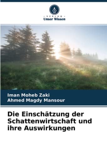 9786202572446: Die Einschtzung der Schattenwirtschaft und ihre Auswirkungen (German Edition)