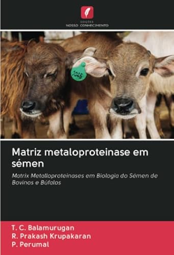Stock image for Matriz metaloproteinase em smen : Matrix Metalloproteinases em Biologia do Smen de Bovinos e Bfalos for sale by AHA-BUCH GmbH