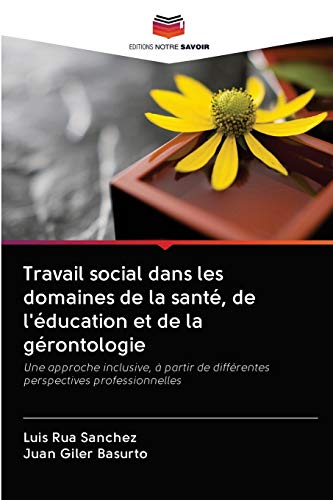 Imagen de archivo de Travail social dans les domaines de la sant, de l'ducation et de la grontologie -Language: french a la venta por GreatBookPrices