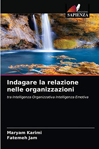 Stock image for Indagare la relazione nelle organizzazioni: tra Intelligenza Organizzativa Intelligenza Emotiva (Italian Edition) for sale by Lucky's Textbooks