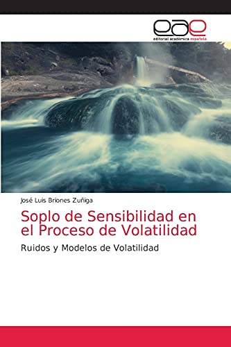 9786203585957: Soplo de Sensibilidad en el Proceso de Volatilidad: Ruidos y Modelos de Volatilidad