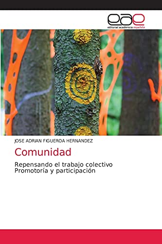 Beispielbild fr Comunidad: Repensando el trabajo colectivo Promotora y participacin (Spanish Edition) zum Verkauf von Lucky's Textbooks