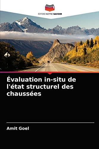 Stock image for valuation in-situ de l'tat structurel des chausses (French Edition) for sale by Lucky's Textbooks