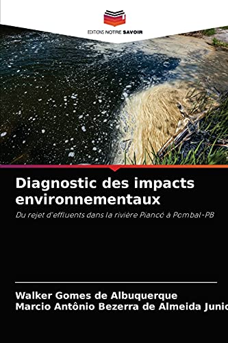 9786204073279: Diagnostic des impacts environnementaux: Du rejet d'effluents dans la rivire Pianc  Pombal-PB