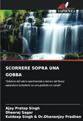 Immagine dell'editore per SCORRERE SOPRA UNA GOBBA : "Edizione del valore sperimentale e teorico del flusso separatore turbolento su una gobbain un canale" venduto da Buchpark